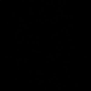 Meet your Posher, Clinton